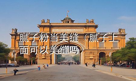 膩?zhàn)臃郛?dāng)美縫（膩?zhàn)由厦婵梢悦揽p嗎）