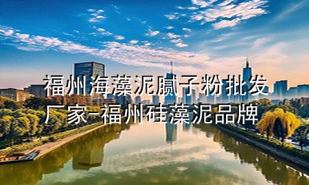 福州海藻泥膩?zhàn)臃叟l(fā)廠家-福州硅藻泥品牌