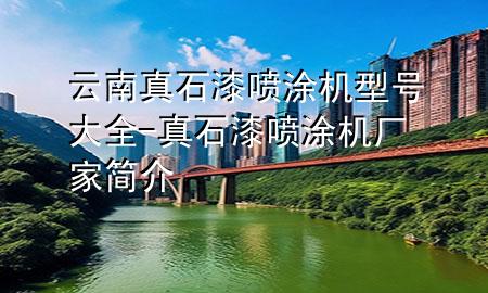云南真石漆噴涂機(jī)型號(hào)大全-真石漆噴涂機(jī)廠家簡(jiǎn)介