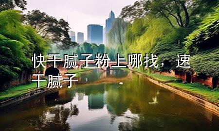 快干膩子粉上哪找，速干膩子