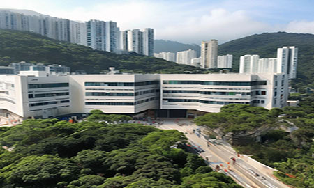 湖南陶彩砂涂料品牌